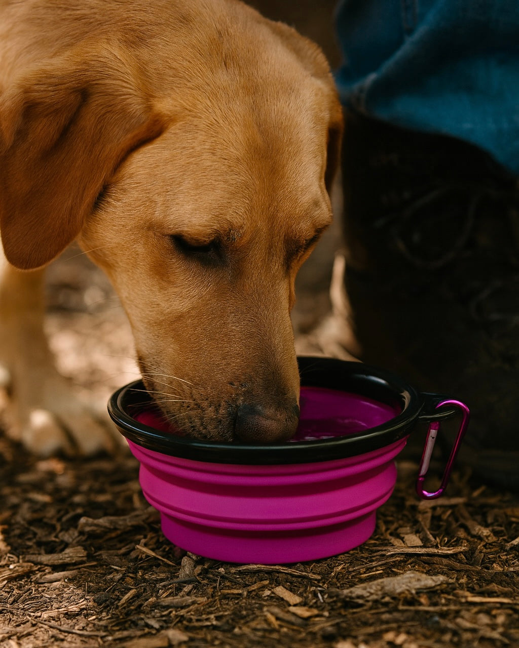 LumyNapf – Faltbarer Hundenapf für unterwegs