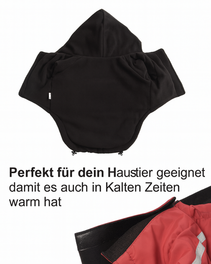 WetterHeld – Der wasserdichte Wintermantel für glückliche & warme Hunde