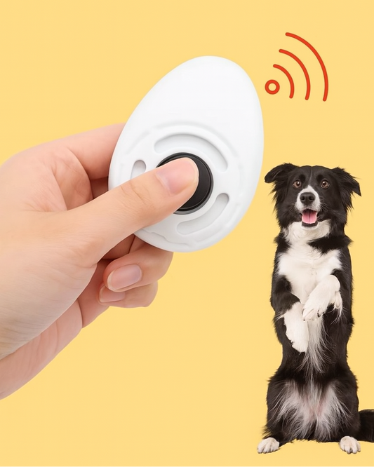 LernPfote – Der Clicker für eine liebevolle & effektive Hundeerziehung