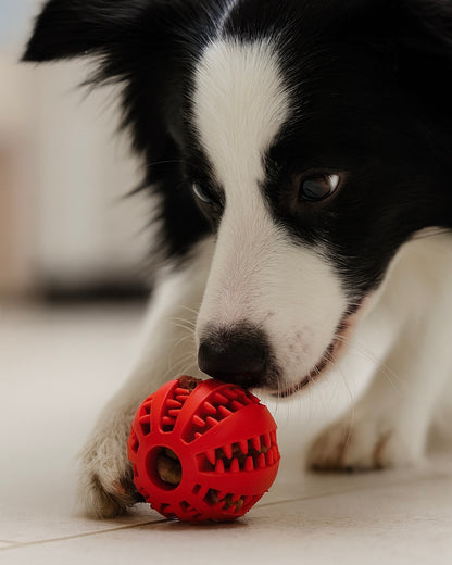 LumyBall – Interaktiver Snackball für Hunde