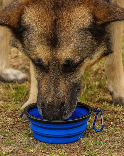 LumyNapf – Faltbarer Hundenapf für unterwegs